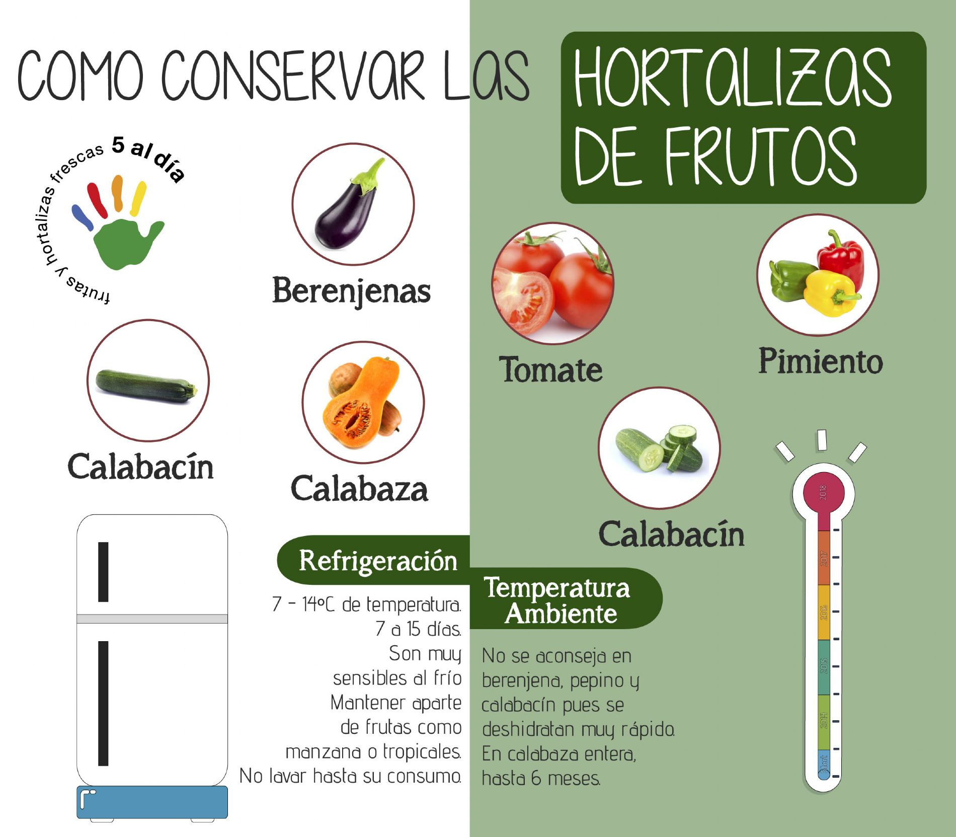 ConservaciÓn De Frutas Y Hortalizas 6479